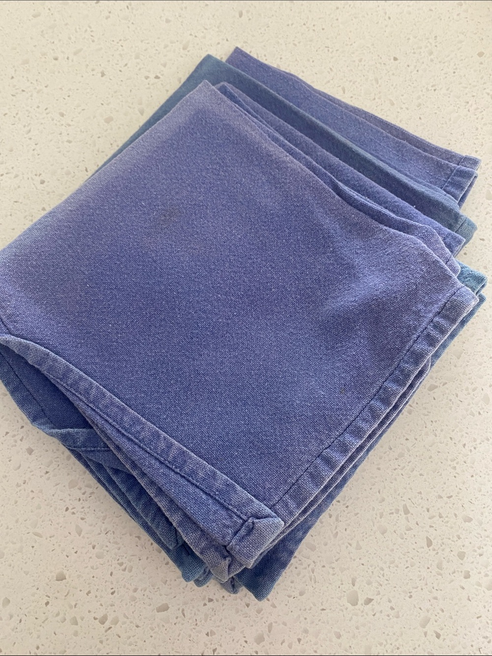 Vintage Blue Cotton Table Napkins - Set of 8